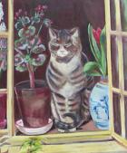 poes 80X60 (te koop)